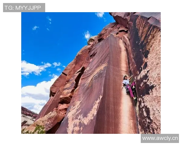 成都攀岩队强势登顶最新攀岩力量排行榜前十名解析