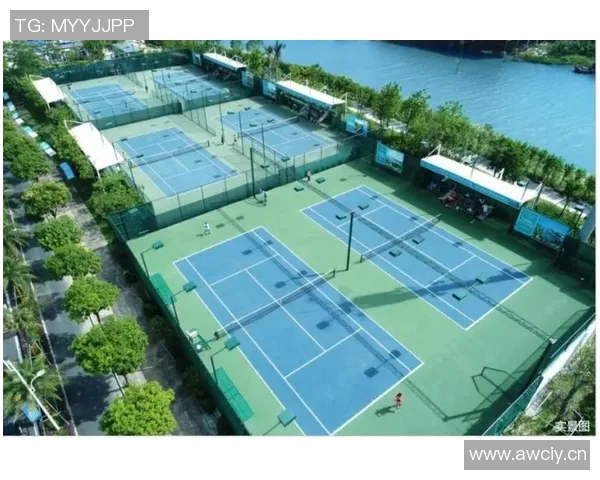 武汉网球队实力分析与发展潜力探讨之网球焦点研究