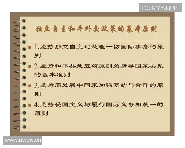 以外交为核心推动国际合作与和平建设的战略路径探析