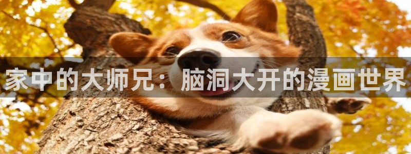 无遮挡羞羞漫画